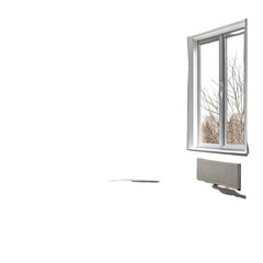 Window with view of leafless trees and a radiator