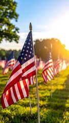 American flags wave in a field, sun setting through the trees