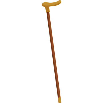 Cane with a hook handle