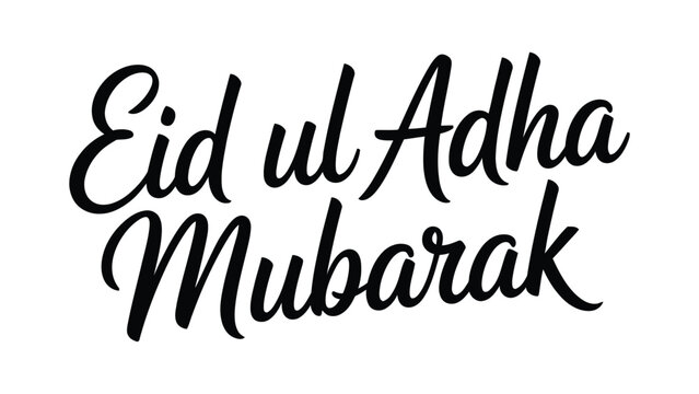 Eid ul adha mubarak hand lettering typography isolated on white background, modern islamic greeting calligraphy design for eid al adha celebration