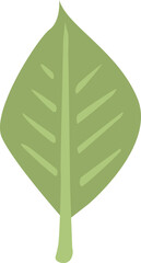 緑の葉のイラスト 透明背景