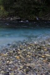 Fototapeta premium Crystal Clear Azusa River with Colorful Riverbed Pebbles in Kamikochi