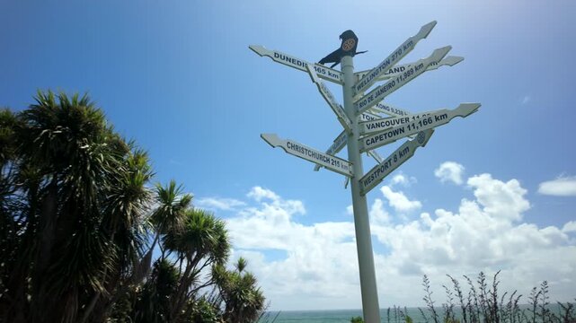Approaching coastal direction signpost with bird on top