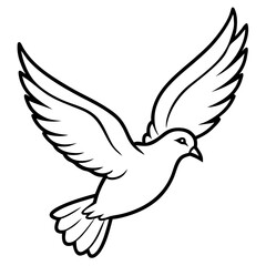 white dove flying