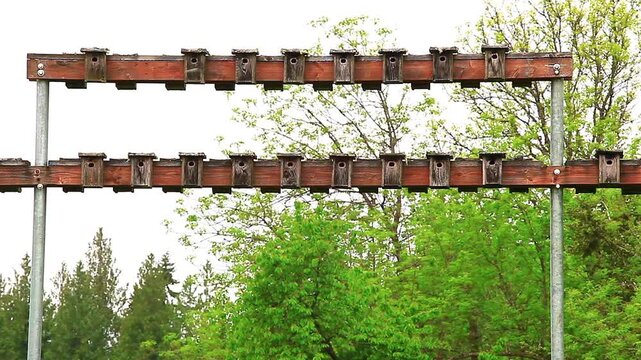  a video of a nesting bird house at a wildlife preserve in Washington state