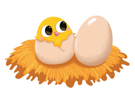 PNG Cute cartoon Easter chick with a chicken and a cracked egg on a white background