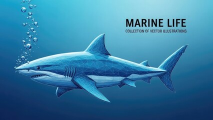 Obraz premium A majestic shark swimming in the depths of the ocean