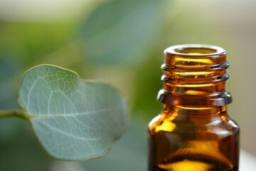Eucalyptus essential oil bottle with fresh green leaf for natural wellness