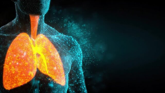 Illuminating Respiratory System: An artistic representation of the respiratory system glows with radiant energy, highlighting the intricacies of human anatomy, signifying health.