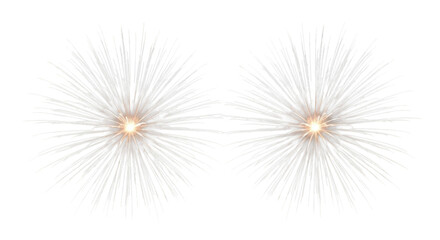 Obraz premium Two brilliant, photorealistic fireworks isolated on a transparent background, intense white and silver light trails radiating from a golden core, dramatic high-contrast lighting, concept of festive