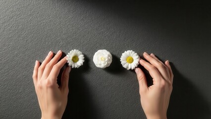 Overhead shot of hands arranging three wagashi sweets on a dark surface.