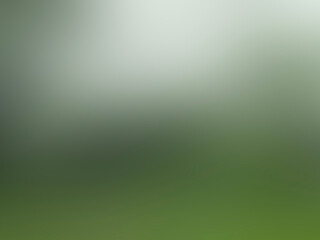 Top view, Abstract blurred dark painted green white grey texture background for graphic design. wallpaper, gradient backdrop, illustration, decoration card, summer, brochure