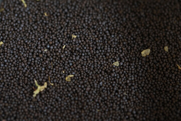 Close-Up of Black Mustard Seeds with Scattered Yellow Petals in Natural Light
