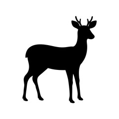 Obraz premium Silhouette of a deer