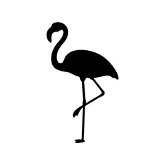 Obraz premium Elegant flamingo standing gracefully