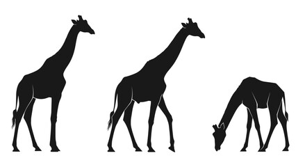 Set of four giraffe silhouettes in different styles, clean vector illustrations. © delly