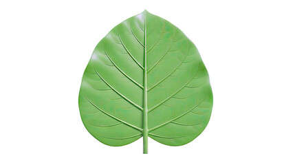 Fototapeta premium Vibrant Green Leaf with Prominent Veins