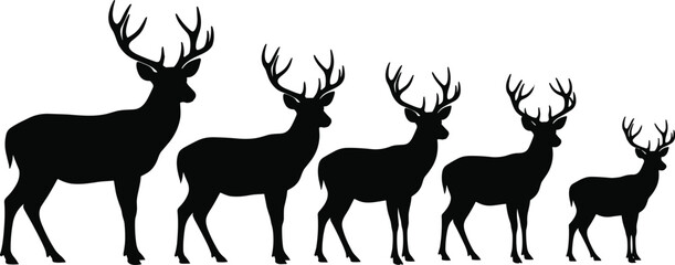 Silhouettes of deer with antlers in various sizes and stages, representing wildlife, forest animals, nature illustration, and animal growth in simple black silhouette style