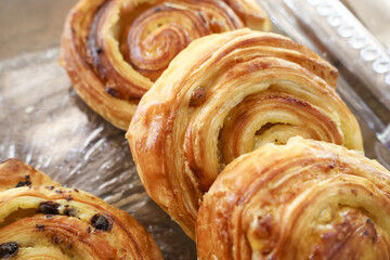 Fototapeta premium Delightful golden swirl pastry buns with flaky sweet crust and raisin filling arranged on bakery shelf showing appetizing and delicious fresh homemade breakfast treat