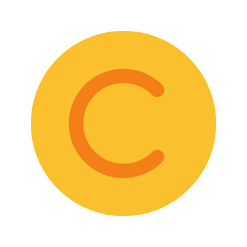 coin flat icon