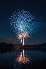 Night sky illuminated by fireworks