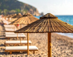 Sandy beach lined with wooden posts supporting natural straw umbrellas, sunbeds, and a tranquil ocean backdrop