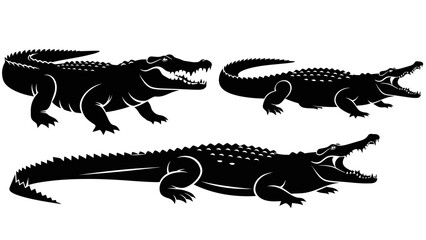 Obraz premium Set of four crocodile silhouettes in different styles, clean vector illustrations.