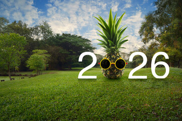 Pineapple with sunglasses and 2026 white text on green grass and trees in public park, Happy new year 2026 summer holiday concept