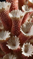Close-up view of complex coral structures showcasing intricate patterns in a vibrant underwater ecosystem