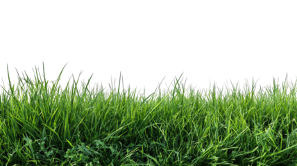 Patch of green grass against a black background