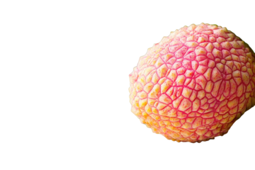 Textured lychee fruit in bright light, isolated