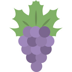 Fototapeta premium Grape bunch illustration