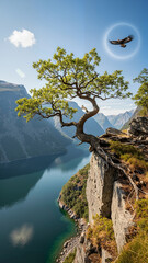 Ancient oak tree rooted precariously on cliff edge above fjord with eagle  