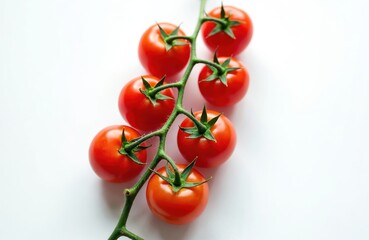 Cluster of ripe red cherry tomatoes on green vine. Shiny fresh vegetables isolated on clean white surface. Healthy food ingredient for cooking and eating.