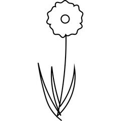 Flat Flower Line Art