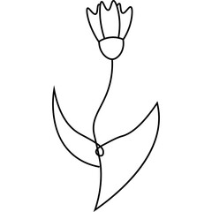 Flat Flower Line Art