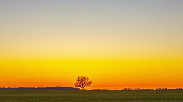 Timelapse sunset over a rural field with a lone tree silhouette on the horizon, warm orange gradient sky, soft haze, and subtle lens flare at dusk.