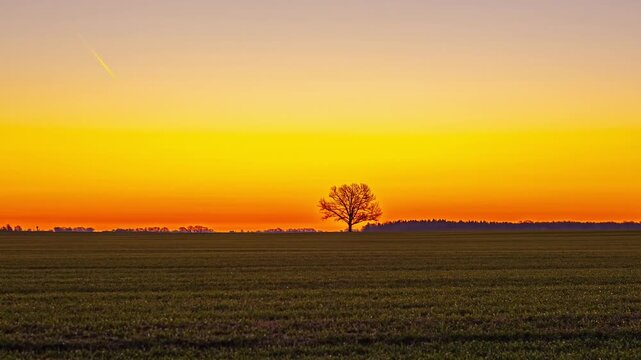 Time-lapse sunrise over flat farmland with a lone tree silhouette, golden sky and warm glow on the horizon&mdash;calm morning landscape.