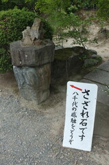 【京都】勧修寺の境内にあるさざれ石