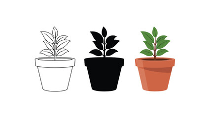 Obraz premium Four potted plants in different stages of illustration and color