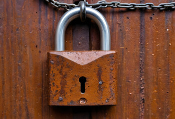 Rusty padlock and chain locking weathered wooden door