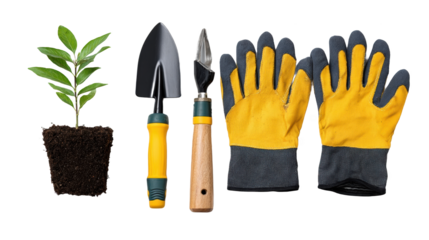 Gardening tools and sapling for planting.