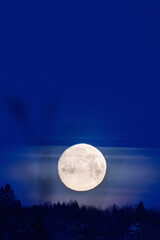 Full moon shining over a forest at the night