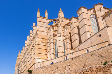 Famous Palma cathedral in Mallorca a sunny summer day