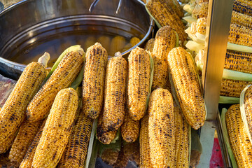 Close-up of grilled corn on the cob, a popular street food snack, ready to eat. The golden-brown kernels are delicious.