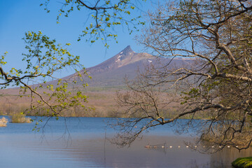 北海道大沼2025春-大沼の景色-05