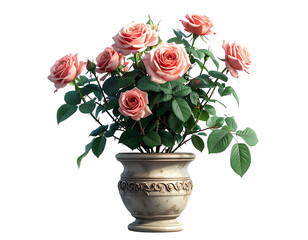 Close-Up Rose Plant in Stylish Pot with Realistic Foliage PNG