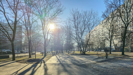 A park with trees and a bench. The sun is shining on the trees and the bench. The sky is blue and clear