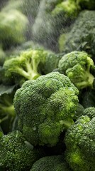 A close up of broccoli .