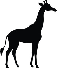 Fototapeta premium Majestic Giraffe Silhouette African Wildlife Graphic Illustration Vector Art